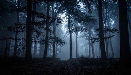 Fototapeta premium Mysterious Forest Path Through a Dark Enchanted Woods with Foggy Atmosphere and Tall Trees.