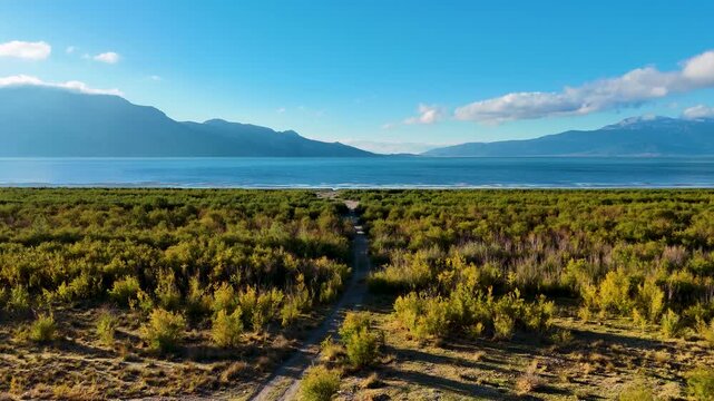 A panoramic drone shot of a serene lake visible behind a stretch of wild green marshland with a dirt path leading the eye towards the tranquil water and distant mountains