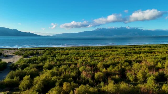 A beautiful aerial view of a lakeshore with a wide expanse of green coastal vegetation under a partly cloudy sky with mountains on the horizon a serene and natural borderland