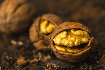 walnuts and kernels captured in a rustic natural setting. Some nuts are cracked open, revealing the rich interior texture, while others remain whole on a dark wooden surface. 
