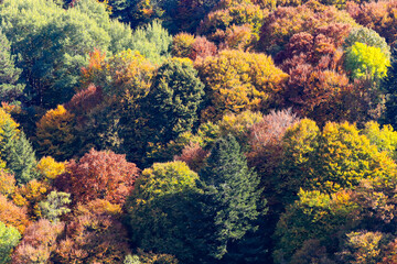 randonnée automnale en Auvergne