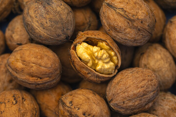 walnuts and kernels captured in a rustic natural setting. Some nuts are cracked open, revealing the rich interior texture, while others remain whole on a dark wooden surface. 

