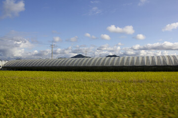 Obraz premium It is an autumn rural landscape with golden fields.