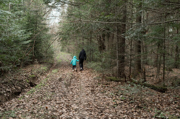 Obraz premium Walking hand in hand through a serene forest trail surrounded by lush greenery on a cool autumn day with fallen leaves underfoot