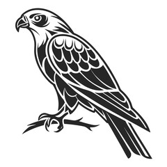 Fototapeta premium Black and white illustration of a hawk perched on a branch, detailed and artistic.