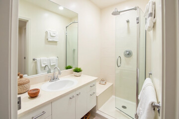 Clean bathroom interior with decorative objects. Front View. 3d rendering.