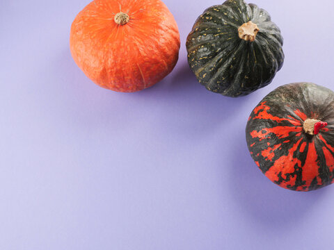Three colorful pumpkins on purple background