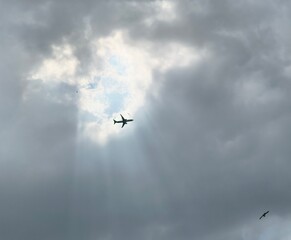 Airplane flying through dramatic cloudscape with sunlight rays and bird silhouette