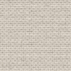 Fototapeta premium slub texture pattern