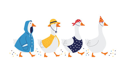 A delightful parade of four dressed-up geese walks in a line.