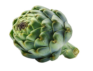 Fototapeta premium Fresh Green Artichoke Globe Isolated on a Dramatic isolated on a transparent background