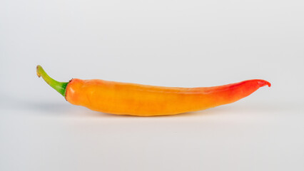 Orange sweet pepper on white background