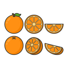 Fresh Tropical Orange Vector. Sweet Oranges in Various Cuts. Perfect for Summer, Healthy Fruit and Freshness.
