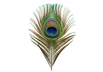 Fototapeta premium Isolated Eye Feather of Peacock a Vibrant and Exotic Nature Symbol in Elegant Detail
