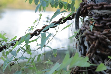 Rusty chain.