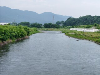 A river with a bridge in the background. The water is calm and clear. The bridge is tall and is in the distance
