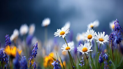 Delicate white daisies bloom among vibrant purple and yellow wildflowers.