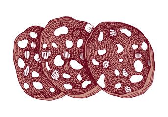 Sliced salami sausage hand drawn vector