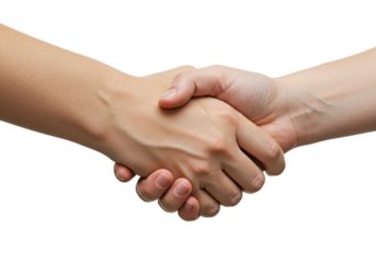 Isolated human hands in handshake gesture, business people greeting, business agreement