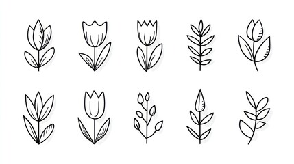 Simple line drawings of various botanical elements with shadows.