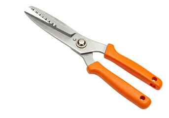 Fototapeta premium Isolated poultry shears with orange handles, professional kitchen shears for slicing meat