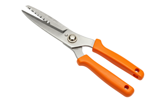 Isolated poultry shears with orange handles, professional kitchen shears for slicing meat