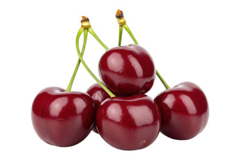 Isolated sweet juicy cherries delicious fresh fruit healthy snack for advertisement