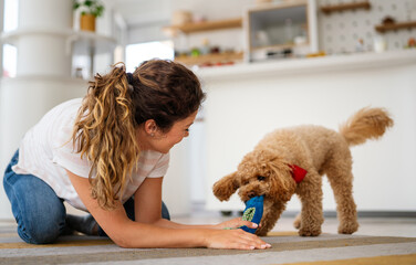 Cute dog enjoys love from owners at home. Couple pets and cares for furry friend, creating a bond.
