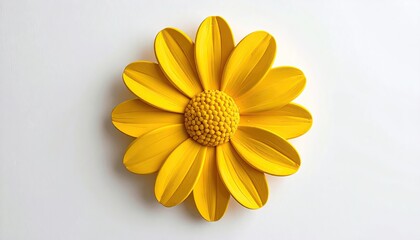 Bright yellow daisy with raised textures, flat white surface