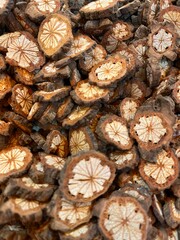 close up of pine nuts