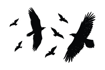 Obraz premium Elegant Bird Silhouette Illustration Set
