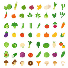 Obraz premium Colorful flat vector illustration of various vegetables and herbs including. Fresh food for healthy eating and kitchen design.