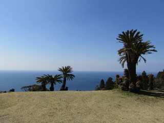 宮崎県串間市、都井岬の美しい風景

