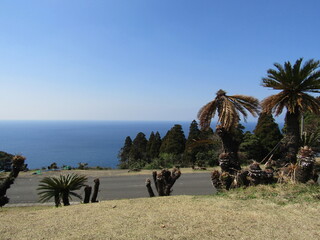 宮崎県串間市、都井岬の美しい風景

