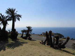 宮崎県串間市、都井岬の美しい風景
