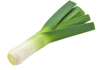 Isolated fresh leek with green leaves ready to be cooked to enhance dishes and flavor