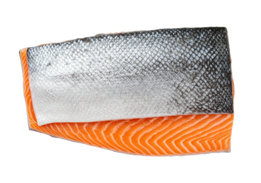 Isolated salmon fillet with skin, ingredient for raw food dish and culinary delicacy