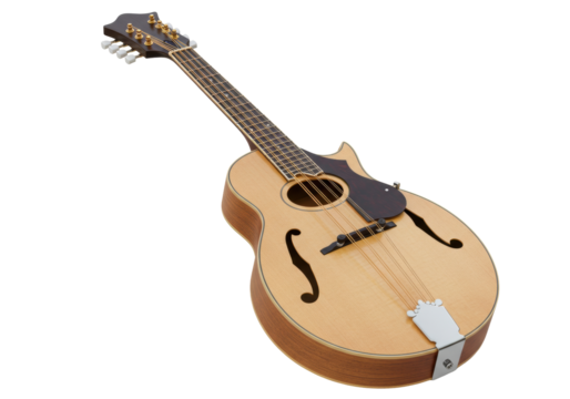 Isolated musical instrument a mandolin with wooden neck and bridge on a plain surface
