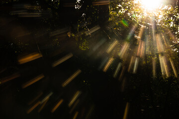 Delikatna pajęczyna w lesie podświetlona promieniami słońca. Kolorowe nici tworzą magiczny, tęczowy efekt, ukazując subtelne piękno natury w jesiennym świetle. © Elżbieta Kaps