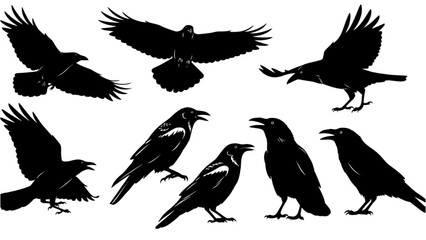 Collection of silhouettes of birds in flight and perched