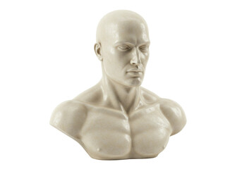 Obraz premium Isolated Mannequin bust of human torso sculpture. Studio shot of bare muscular chest
