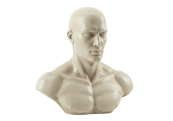 Isolated Mannequin bust of human torso sculpture. Studio shot of bare muscular chest