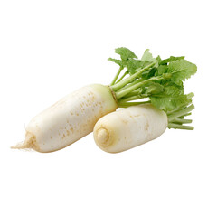 Fresh organic white radish duo with vibrant green tops isolated for culinary use
