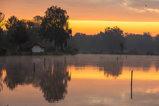Fototapeta Jesienny wschód słońca nad spokojnym stawem, z miękkim złotym światłem odbijającym się w tafli wody. Delikatna mgiełka i ciepłe barwy tworzą nastrojowy, malowniczy krajobraz idealny do tematów natury