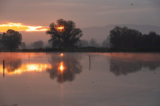 Fototapeta Jesienny wschód słońca nad spokojnym stawem, z miękkim złotym światłem odbijającym się w tafli wody. Delikatna mgiełka i ciepłe barwy tworzą nastrojowy, malowniczy krajobraz idealny do tematów natury