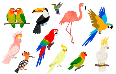Different parrots flat icon set isolated on white background. Vector illustration. Macaw bird, lovebirds, hawaiian cockatiel, hoopoe. Exotic toucan, cockatoo, flamingo, flying hummingbird.