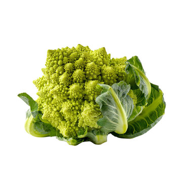 Intricate romanesco broccoli vegetable with fractal patterns close up studio shot