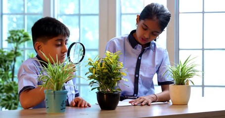 Indian School Kids Learning Botany Observing Plant Using Magnifying Glass in Classroom While Wearing Uniforms, Engaged in Scientific Study of Leaves Nature in Academics Focused on Practical Biology - Powered by Adobe