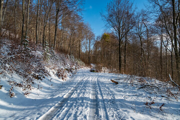 Winter rural journey, snowy rural road scene, sunlit country lane with vehicle tracks frozen snow