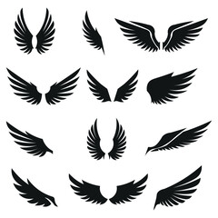 Collection of diverse black wing silhouettes representing freedom and power in a graphic design style silhouette